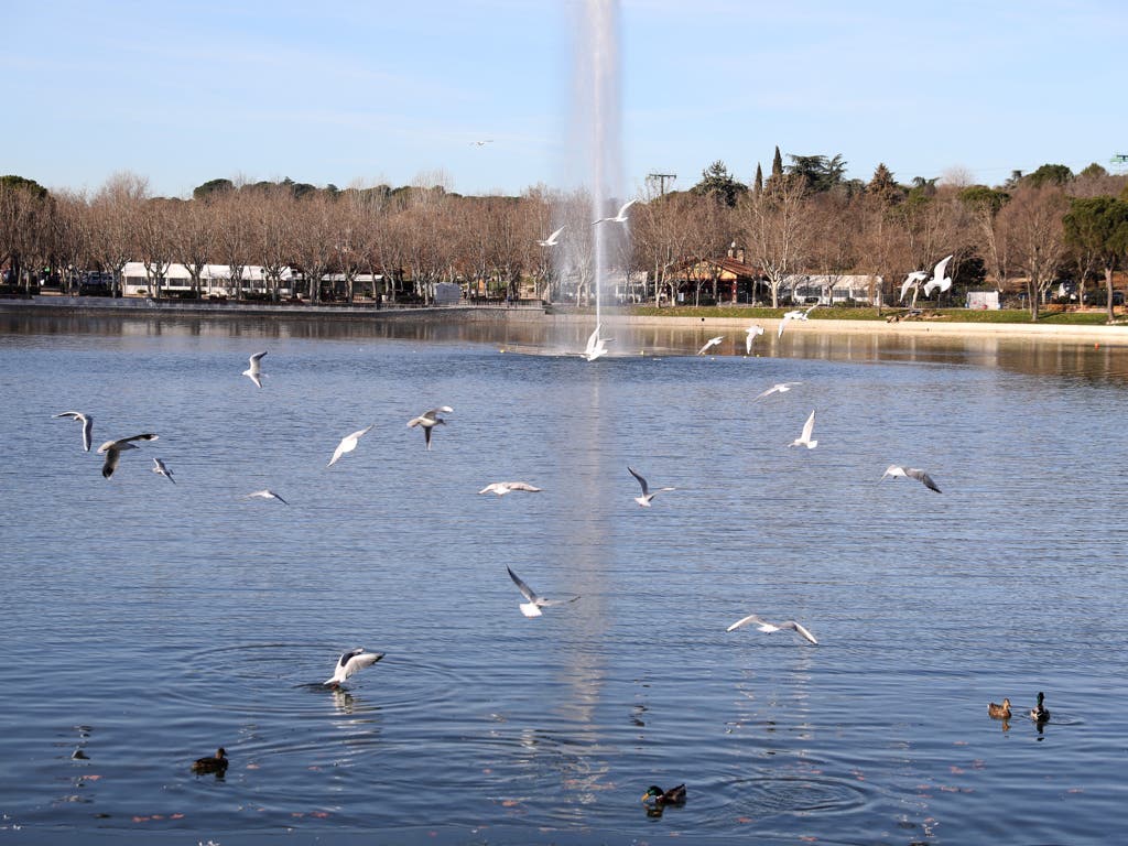 Reabre al público el lago de la Casa de Campo tras 12 meses de obras 