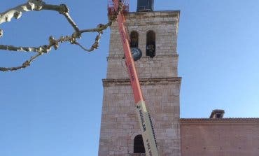 Torrejón confirma que las cigüeñas volverán a la torre de la iglesia 