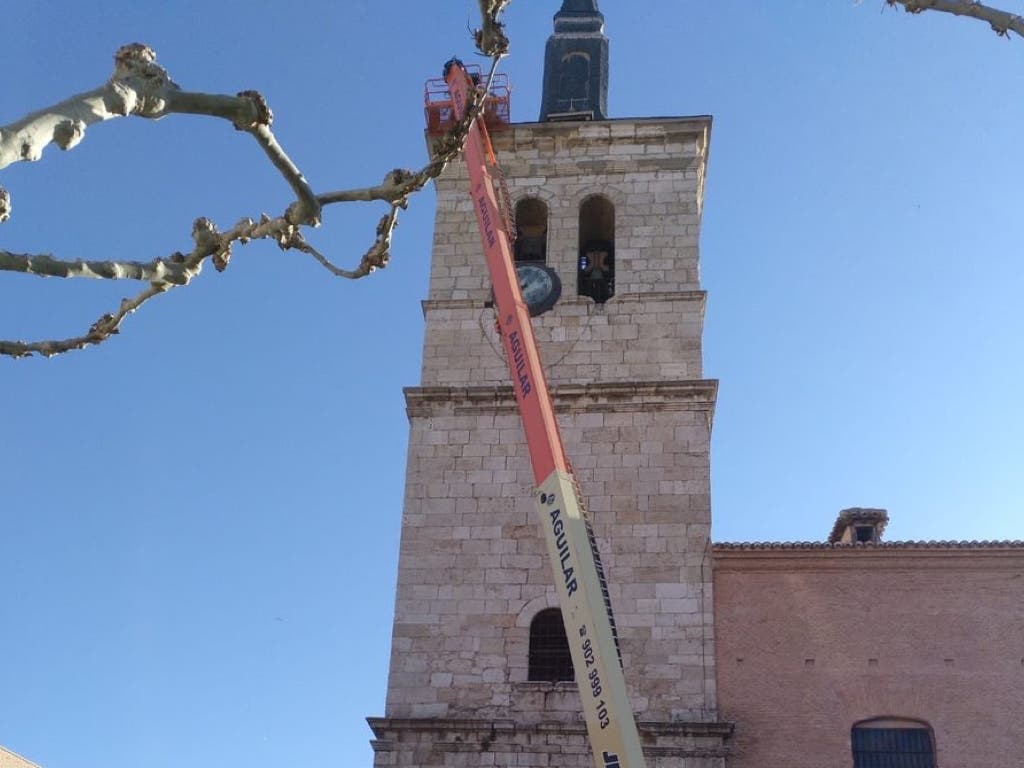 Torrejón confirma que las cigüeñas volverán a la torre de la iglesia 