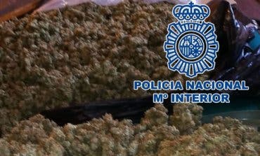 Cae una red que cultivaba marihuana en Alcalá de Henares