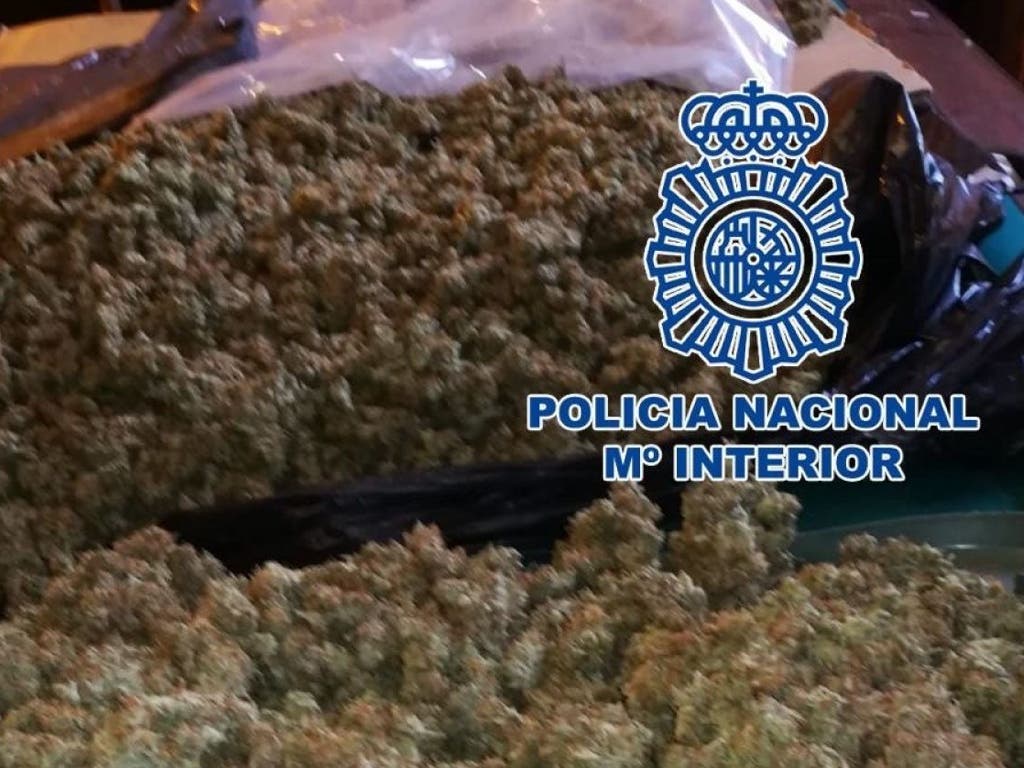 Cae una red que cultivaba marihuana en Alcalá de Henares