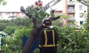 El viento deja en Madrid más de un centenar de intervenciones de los Bomberos