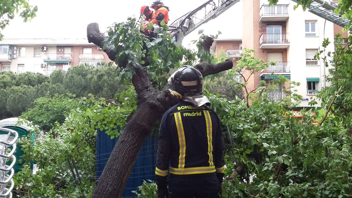 El viento deja en Madrid más de un centenar de intervenciones de los Bomberos