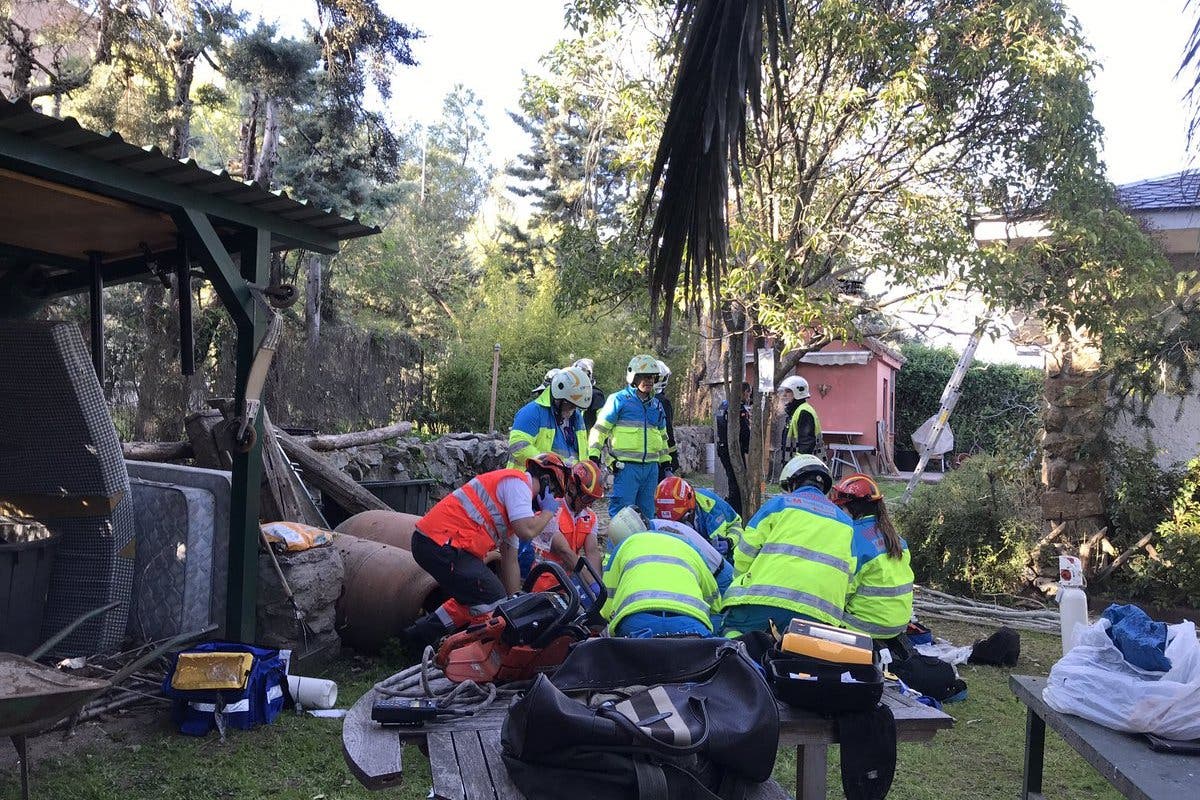 Muere un hombre electrocutado mientras podaba un árbol en Colmenar Viejo