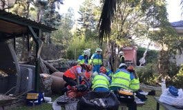 Muere un hombre electrocutado mientras podaba un árbol en Colmenar Viejo