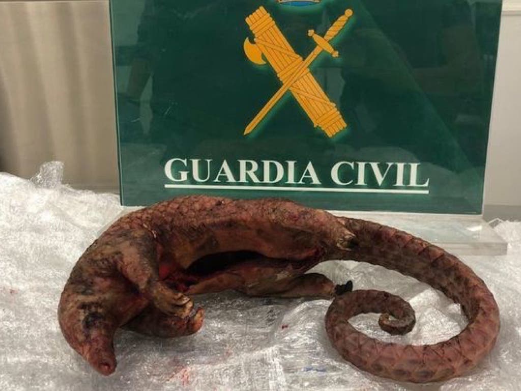Detenida una vecina de Torrejón en Barajas con varios animales muertos en su maleta