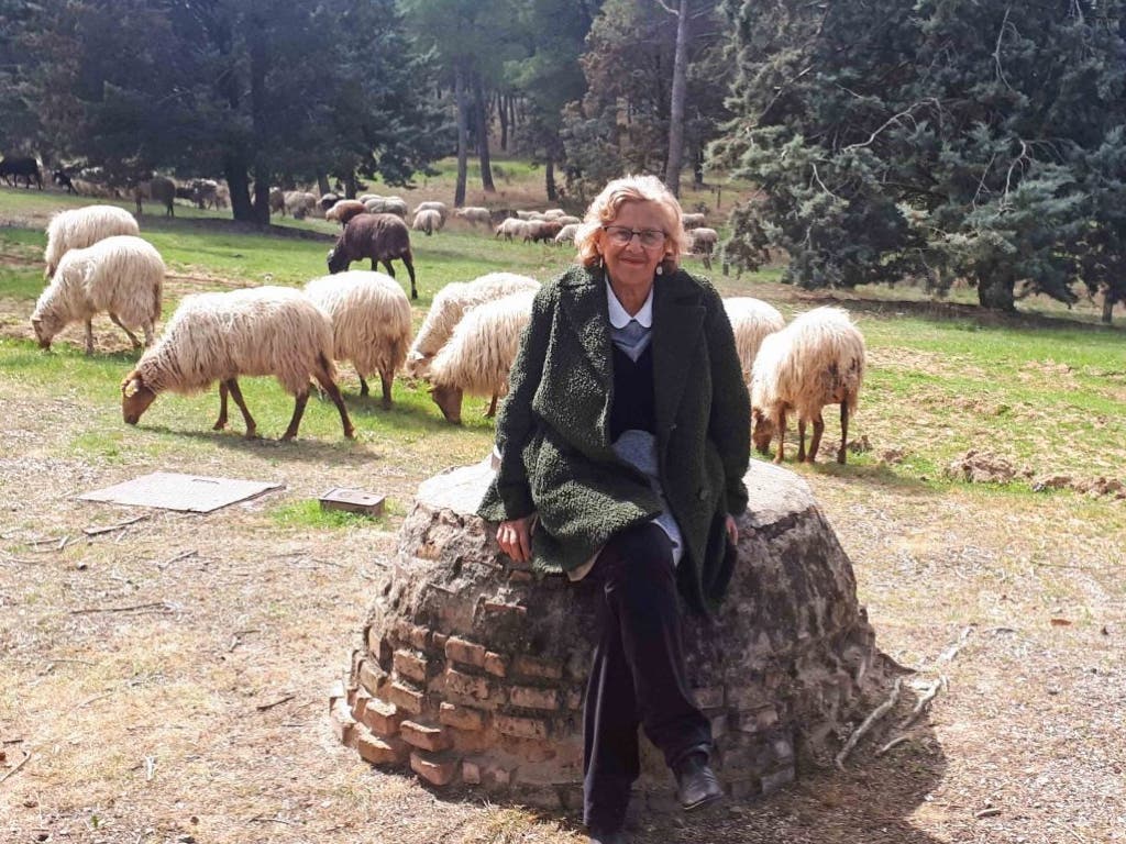 Carmena adopta una cordera tras llenar de ovejas la Casa de Campo
