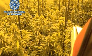 Cae un conocido clan que cultivaba marihuana en la Cañada Real