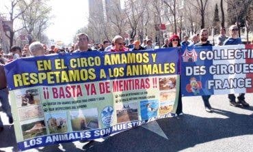 Los circos con animales llevarán a los tribunales a Carmena por querer prohibirlos