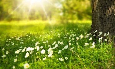 Cálida y seca, así será la primavera que comienza este miércoles