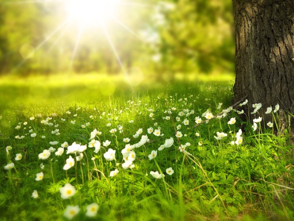 Cálida y seca, así será la primavera que comienza este miércoles