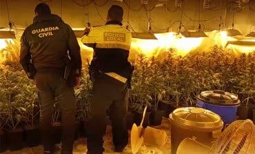 Rivas ordena demoler dos locales utilizados para cultivar marihuana en la Cañada Real