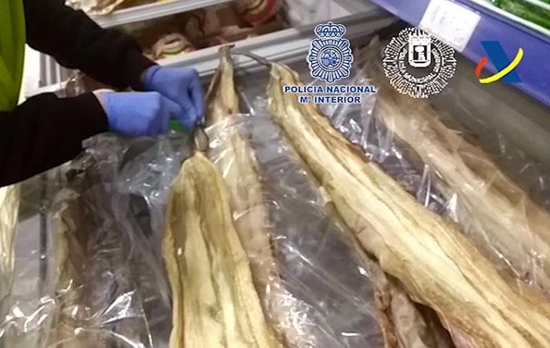Inmovilizan más de 500 kilos de anguilas en comercios de Madrid