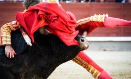Manuel Escribano, herido grave tras ser corneado en Las Ventas