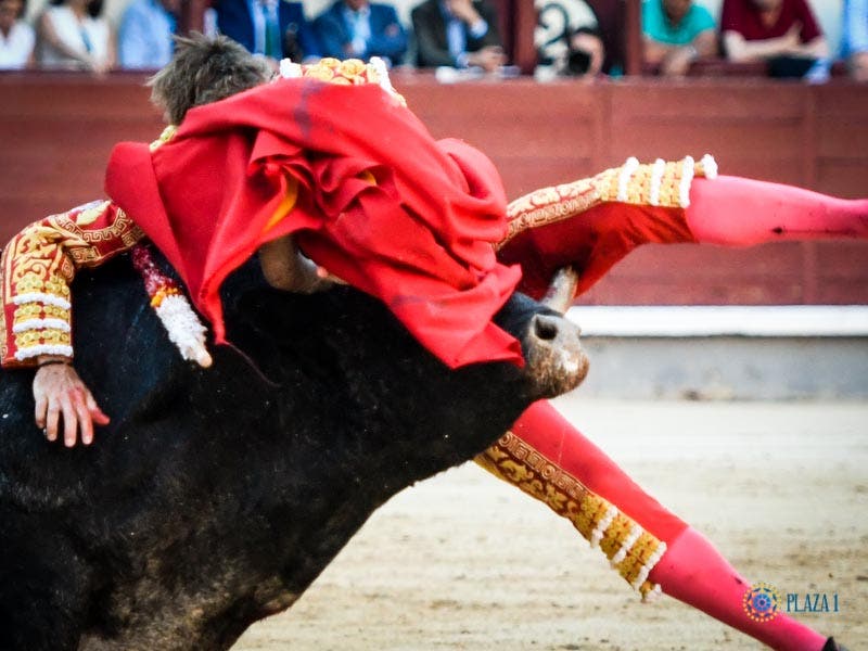 Manuel Escribano, herido grave tras ser corneado en Las Ventas