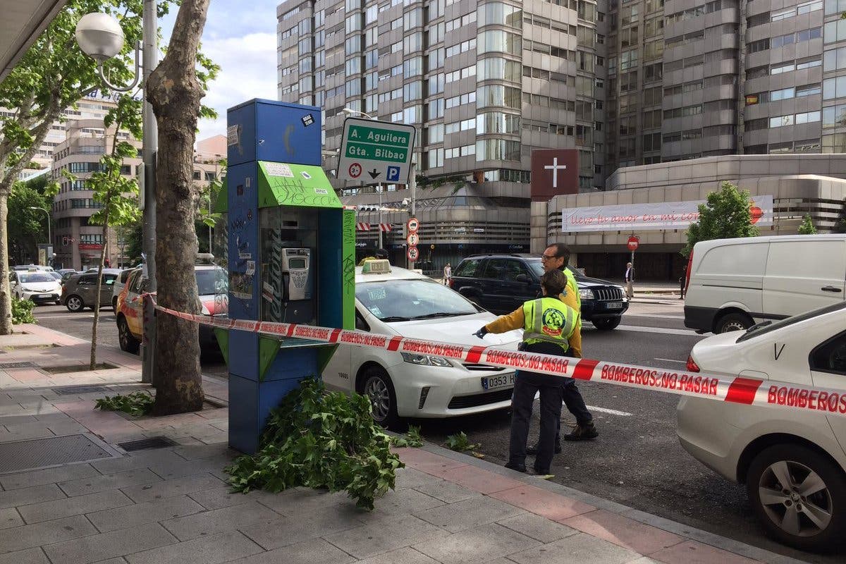 Herido un taxista al caerle encima una rama por el viento en Madrid 