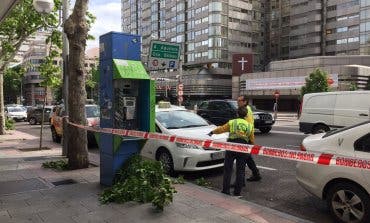 Herido un taxista al caerle encima una rama por el viento en Madrid 
