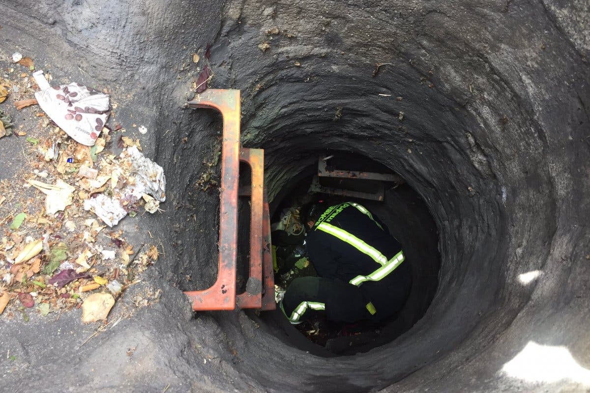 Los Bomberos rescatan a dos patitos que habían caído a una alcantarilla en Madrid 