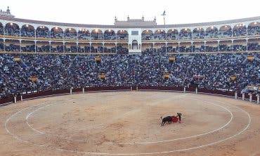 Podemos promete un referéndum sobre los toros en la Comunidad de Madrid