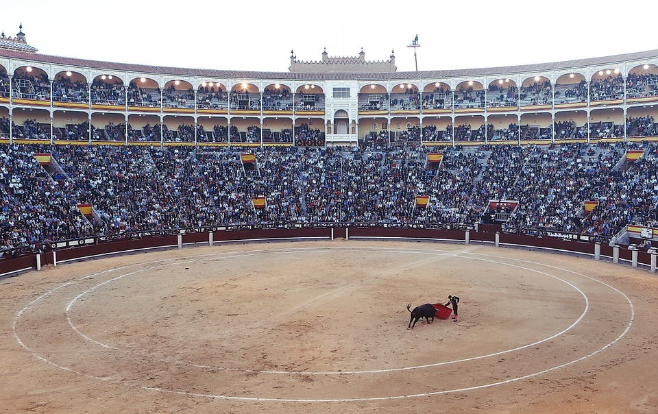 Podemos promete un referéndum sobre los toros en la Comunidad de Madrid
