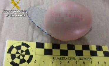 Intervenidos en Mercamadrid 45.360 huevos comercializados como ecológicos