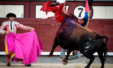 Román evoluciona bien tras sufrir una gravísima cornada en Las Ventas