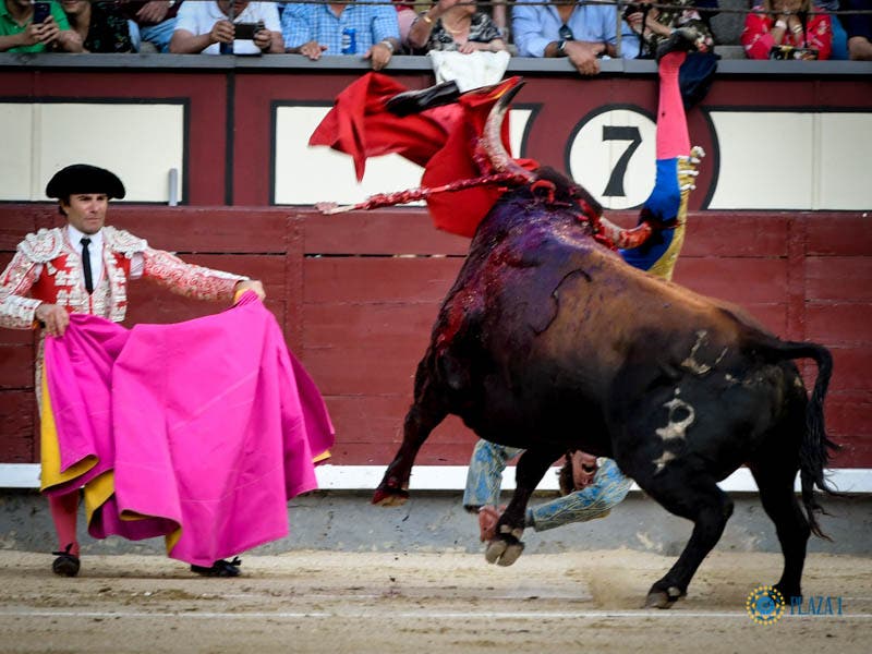 Román evoluciona bien tras sufrir una gravísima cornada en Las Ventas