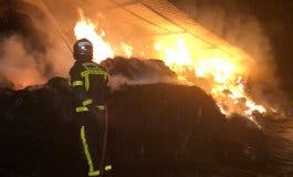Diez cabras muertas y 500 rescatadas de un incendio esta madrugada