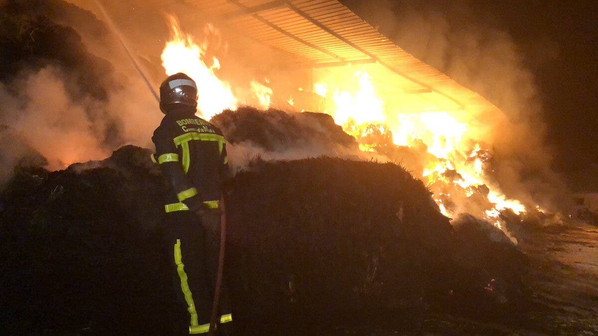 Diez cabras muertas y 500 rescatadas de un incendio esta madrugada