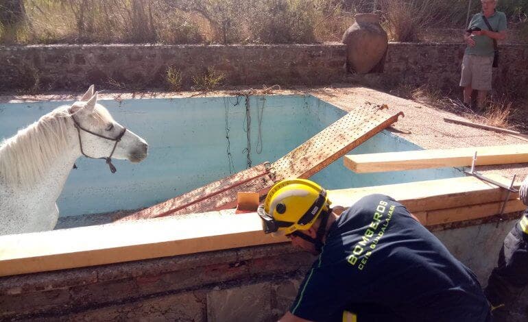 Rescatan a una yegua que había caído a un estanque en Sigüenza
