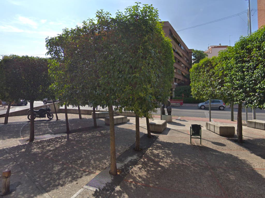 Alcalá de Henares trasplantará 14 árboles de Vía Complutense