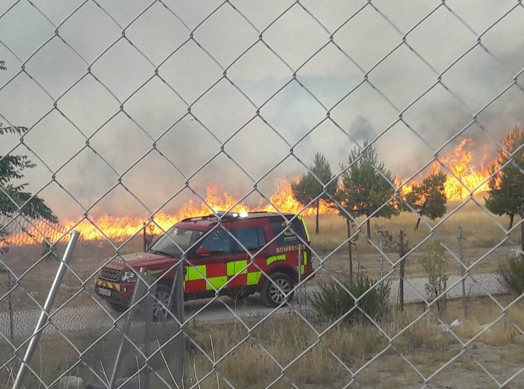 Declarado un incendio en el Parque del Humedal de Coslada