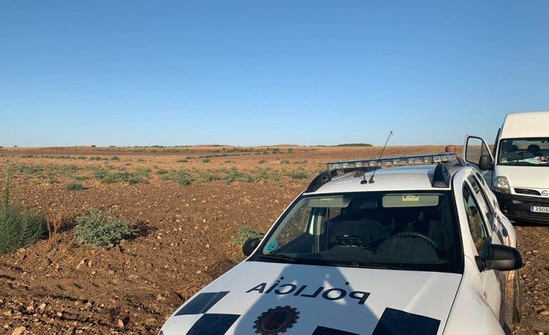 Desmantelan en Daganzo una plantación de estramonio, planta utilizada para fabricar burundanga