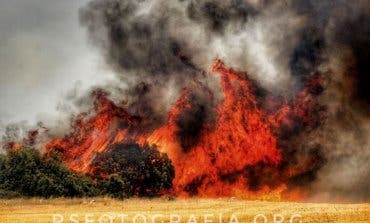 Espectaculares imágenes del incendio de Loranca de Tajuña, ya extinguido