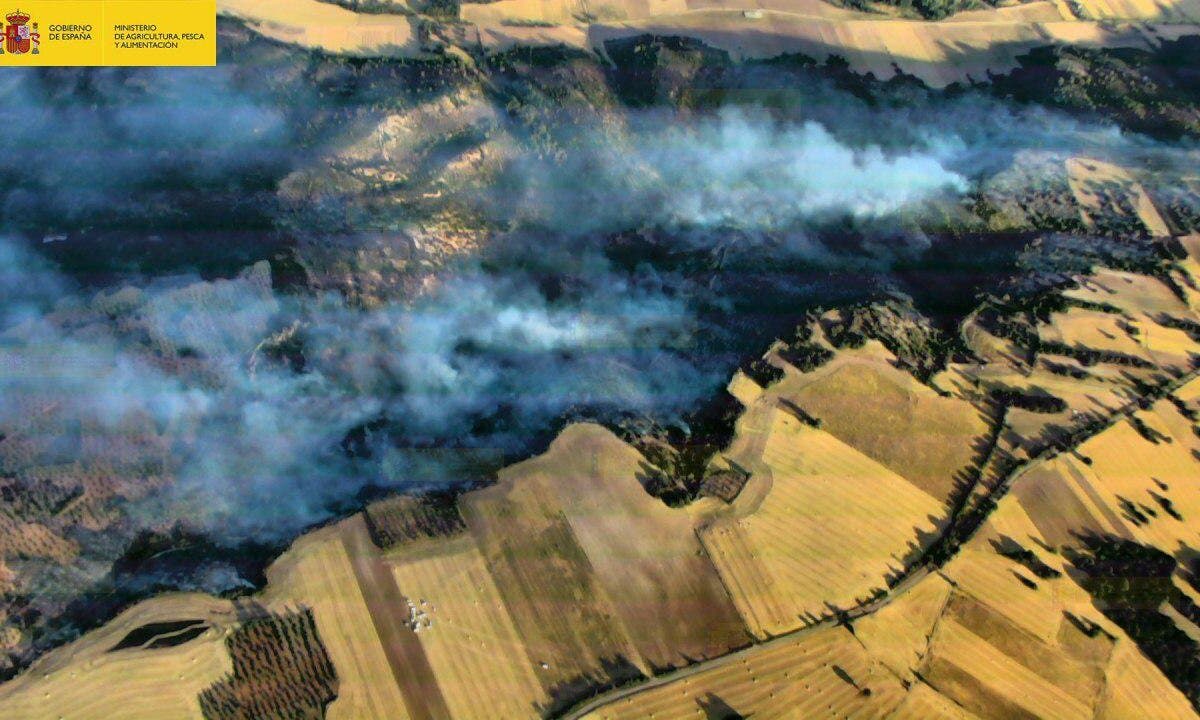 Continúan activos los incendios declarados en Guadalajara y Loranca de Tajuña