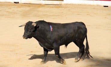 Vox lamenta la ausencia de festejos taurinos en Alcalá de Henares