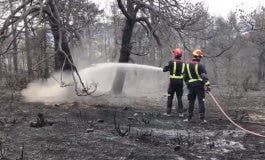 Controlados los incendios de La Granja y Miraflores en Madrid 