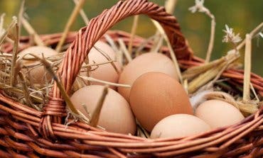 La Comunidad de Madrid pide extremar precauciones para evitar salmonelosis