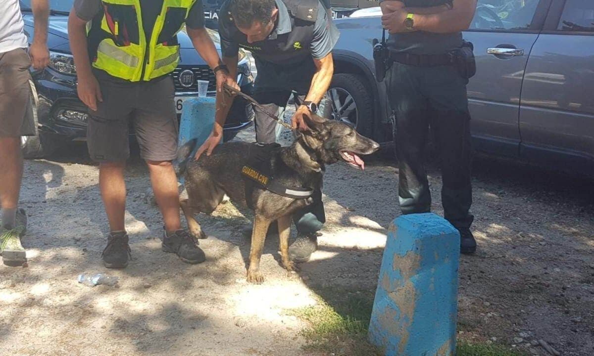 Xena, la perra que encontró el cuerpo de Blanca Fernández Ochoa