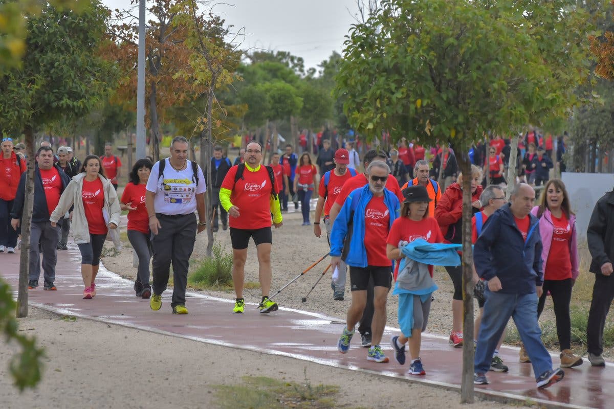 En marcha el V Camino de Cervantes del Hospital de Torrejón