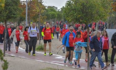 En marcha el V Camino de Cervantes del Hospital de Torrejón