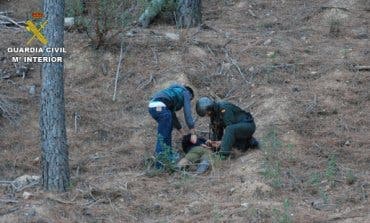 Hallan 4.600 plantas de marihuana en el Parque Natural de la Sierra Norte de Guadalajara