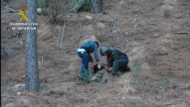 Hallan 4.600 plantas de marihuana en el Parque Natural de la Sierra Norte de Guadalajara