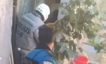 Así capturó la Policía al perro asesino de Coslada