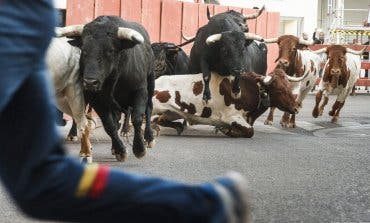 Guadalajara pedirá que sus encierros sean declarados Fiesta de Interés Turístico Regional