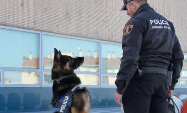 Controles contra el menudeo de drogas en los institutos de Arganda