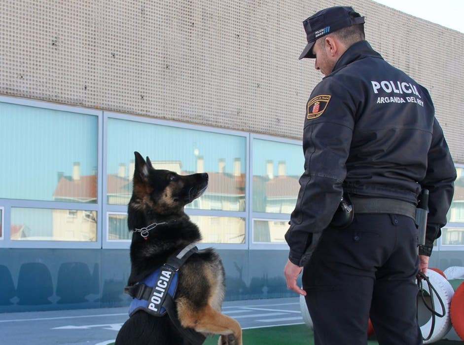 Controles contra el menudeo de drogas en los institutos de Arganda