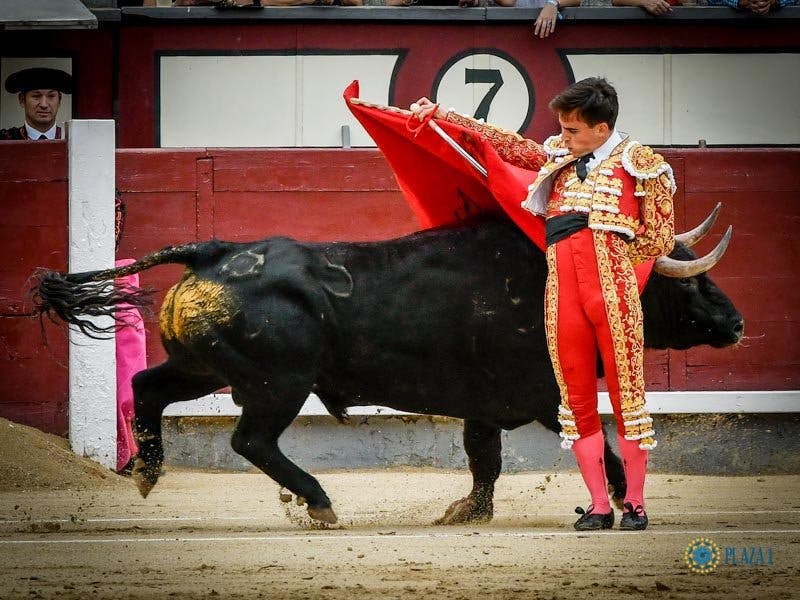 La última hora sobre el estado del torero de Torrejón Gonzalo Caballero