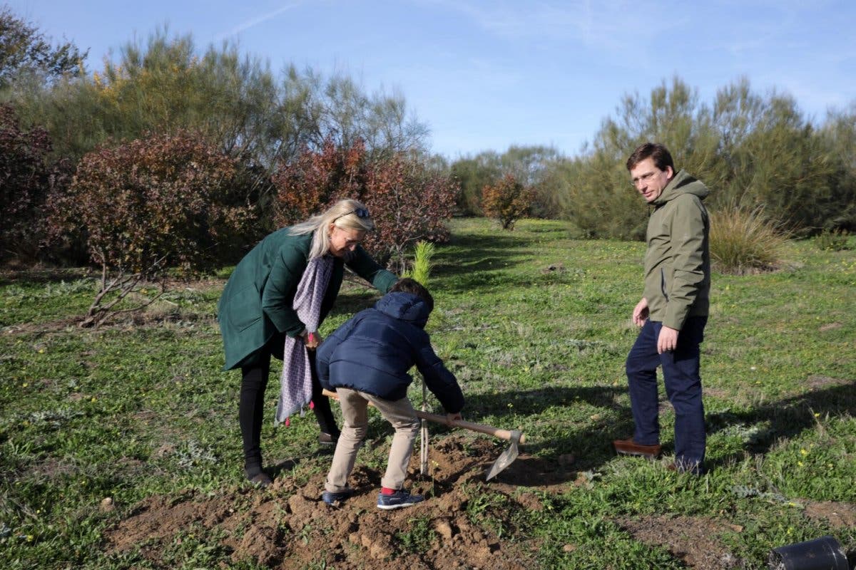 Almeida plantará un árbol por cada niño nacido en Madrid