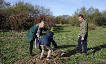 Almeida plantará un árbol por cada niño nacido en Madrid